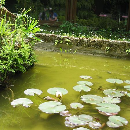 Hotel Chiar Di Luna Laino Borgo Kültér fotó